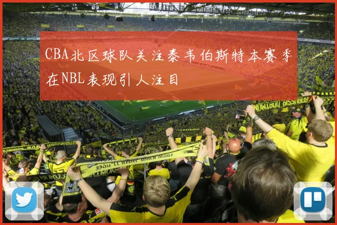 CBA北区球队关注泰韦伯斯特本赛季在NBL表现引人注目