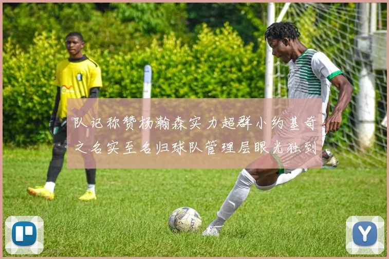队记称赞杨瀚森实力超群小约基奇之名实至名归球队管理层眼光独到