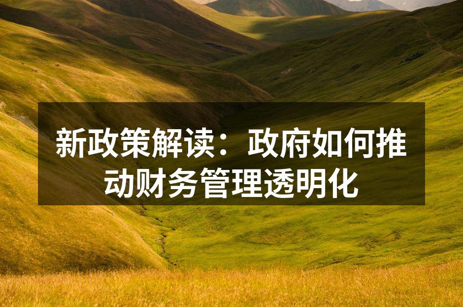 新政策解读：政府如何推动财务管理透明化