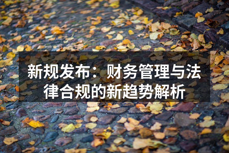 新规发布：财务管理与法律合规的新趋势解析
