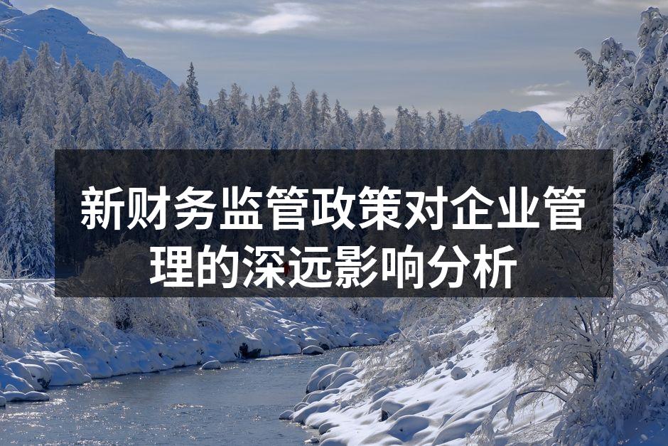 新财务监管政策对企业管理的深远影响分析