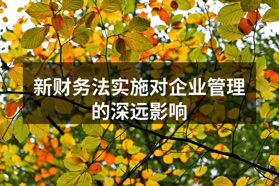 新财务法实施对企业管理的深远影响