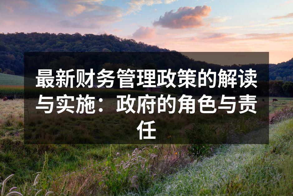 最新财务管理政策的解读与实施：政府的角色