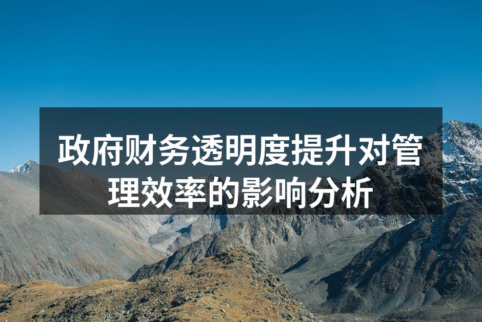 政府财务透明度提升对管理效率的影响分析
