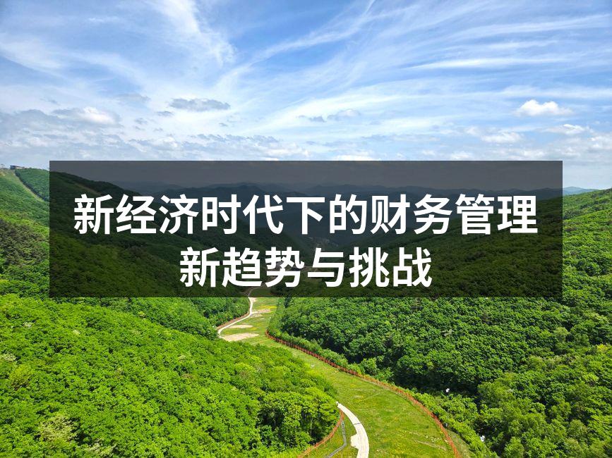 新经济时代下的财务管理新趋势与挑战